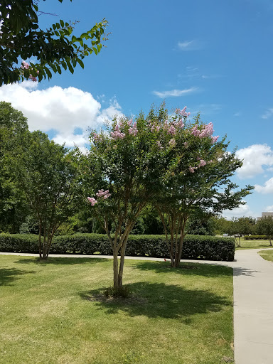 Park «The Crape Myrtle Trails of McKinney», reviews and photos, 6452 Collin McKinney Pkwy, McKinney, TX 75070, USA
