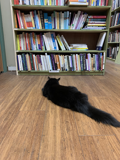 Recycle Bookstore image