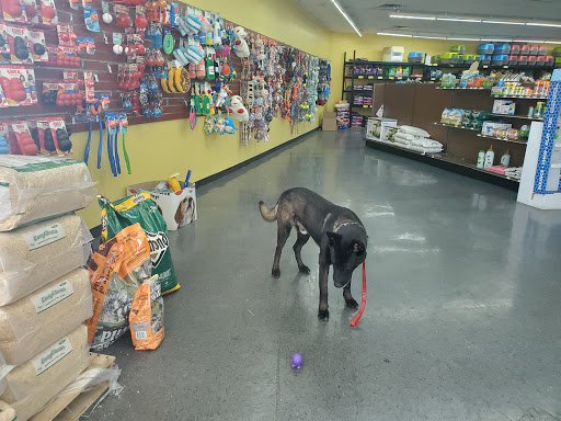 Detroit K-9 Pet supplies