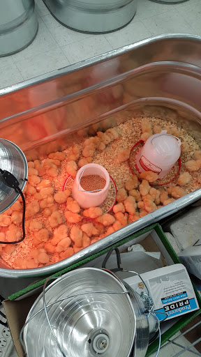 Home Improvement Store «Tractor Supply Co.», reviews and photos, 321 N 3rd St, Oxford, PA 19363, USA