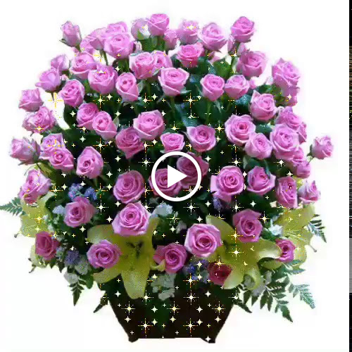 Golf Club «Miami Springs Golf & Country Club», reviews and photos, 650 Curtiss Pkwy, Miami Springs, FL 33166, USA