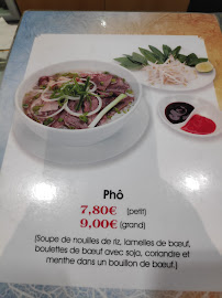 Plats et boissons du Restaurant chinois La Rose de Chine à Juvisy-sur-Orge - n°10