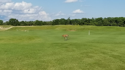 Golf Club «Blackheath Golf Club», reviews and photos, 3311 N Rochester Rd, Rochester, MI 48306, USA