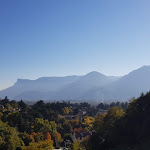 Photo n°3 de l'avis de Werner.i fait le 01/11/2018 à 10:55 sur le  Saxifraga à Tirol