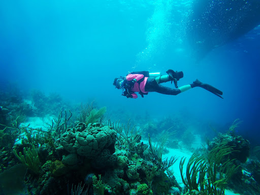 Gypsy Divers Aquatic Center