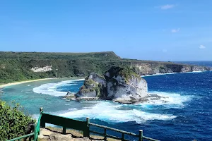 Bird Island Observatory image