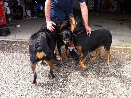 Auto Repair Shop «Katc Automotive llc», reviews and photos, 314 Old Millwood Rd, Rockwall, TX 75087, USA