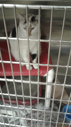 Pet Supply Store «PetSmart», reviews and photos, 2130 Gunbarrel Rd, Chattanooga, TN 37421, USA