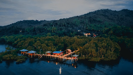 Wisata Hutan Mangrove Desa Budo