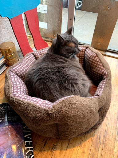 Book Store «Rust Belt Books», reviews and photos, 415 Grant St, Buffalo, NY 14213, USA