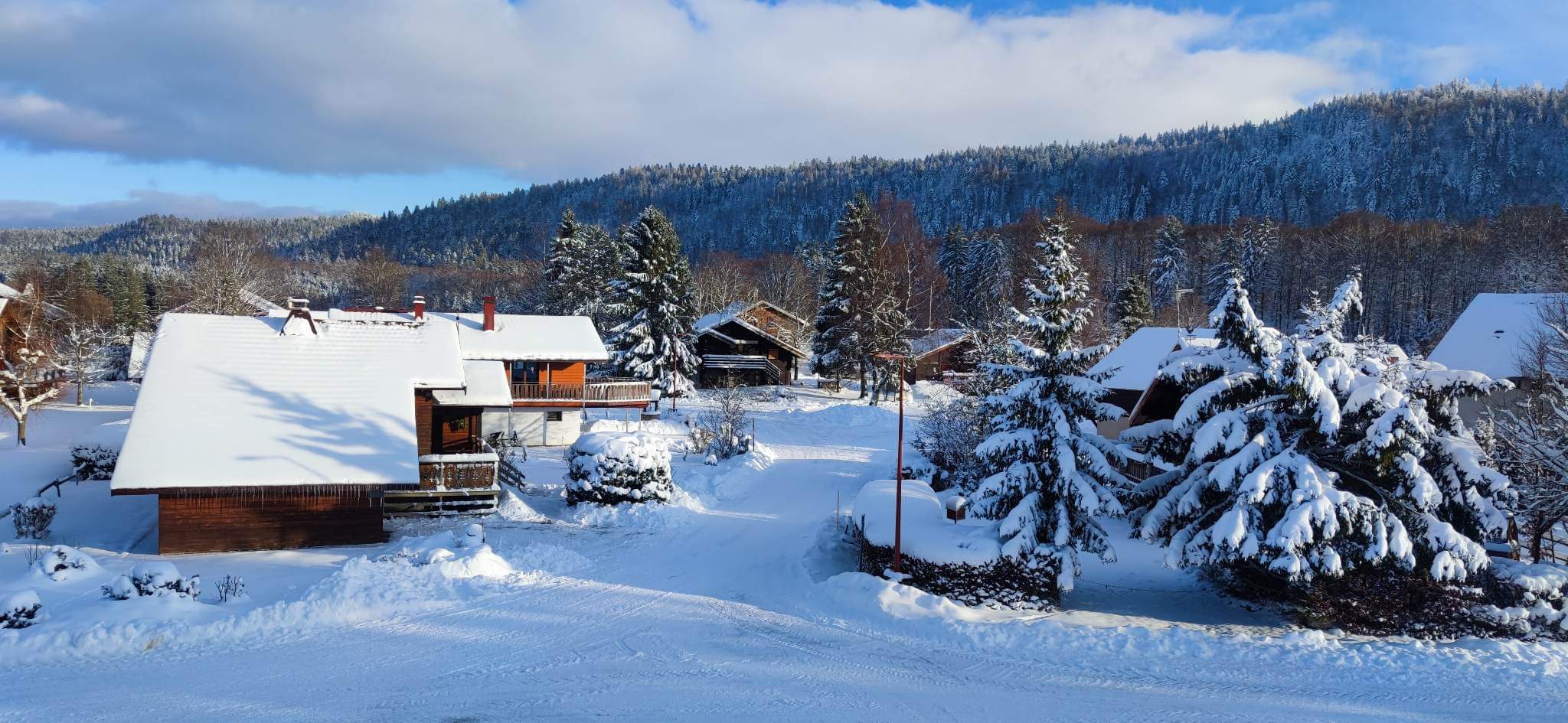 Photo n° 2 de l'avis de Anne.e fait le 24/01/2023 à 15:29