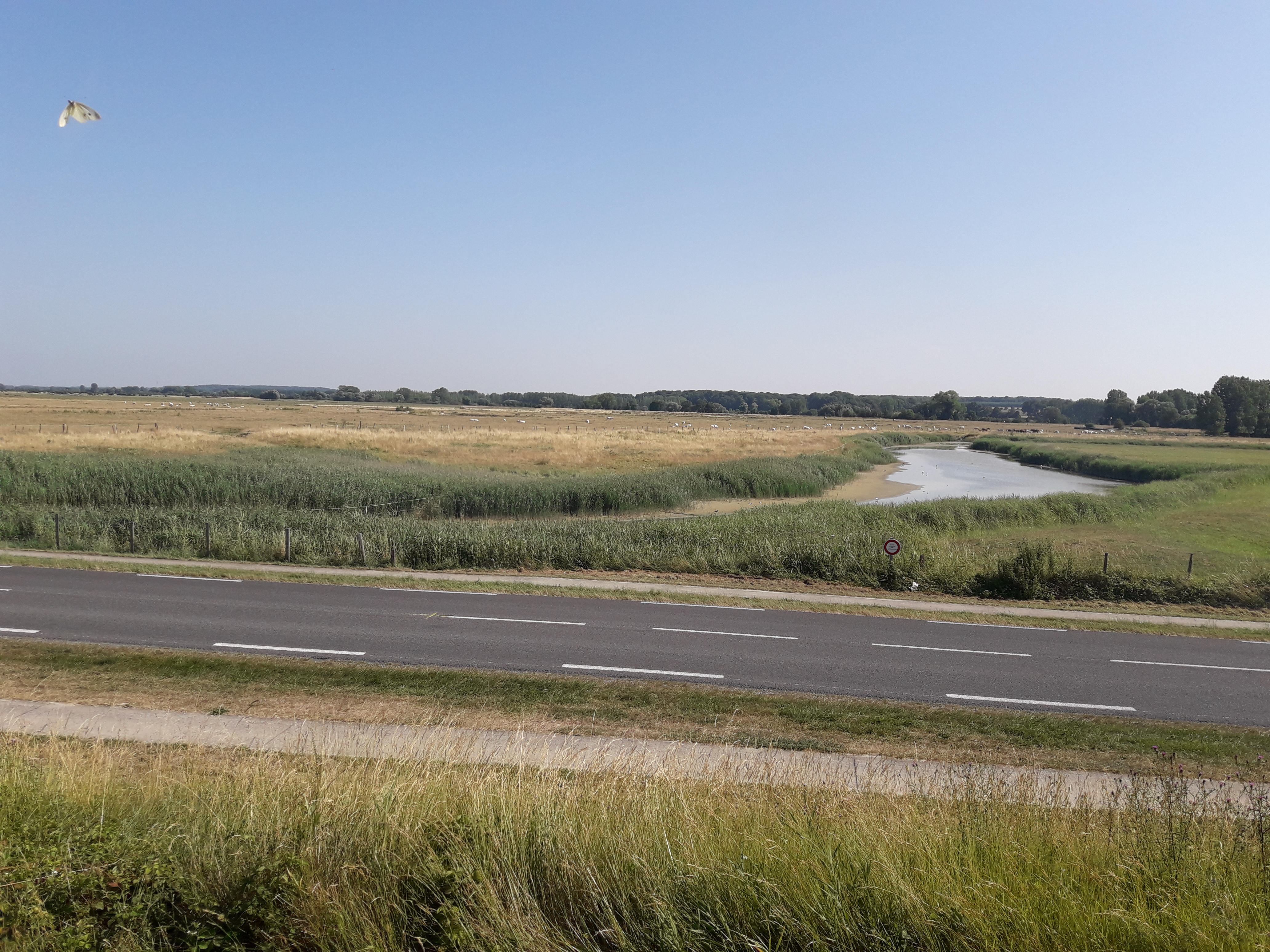 Photo n° 6 de l'avis de Philippe.r fait le 25/07/2019 à 07:57