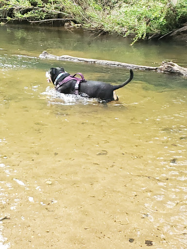 Nature Preserve «Daniel Johnson Nature Preserve», reviews and photos, 1301 Beech Valley Rd NE, Atlanta, GA 30306, USA