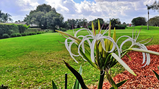 Public Golf Course «The Club At Emerald Hills», reviews and photos, 4100 N Hills Dr, Hollywood, FL 33021, USA