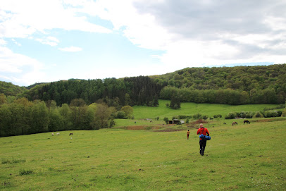 Discgolf Attitude asbl ( Course private)