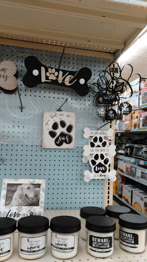 Discount Store «Big Lots», reviews and photos, 21 S Main St, Jamestown, NY 14701, USA