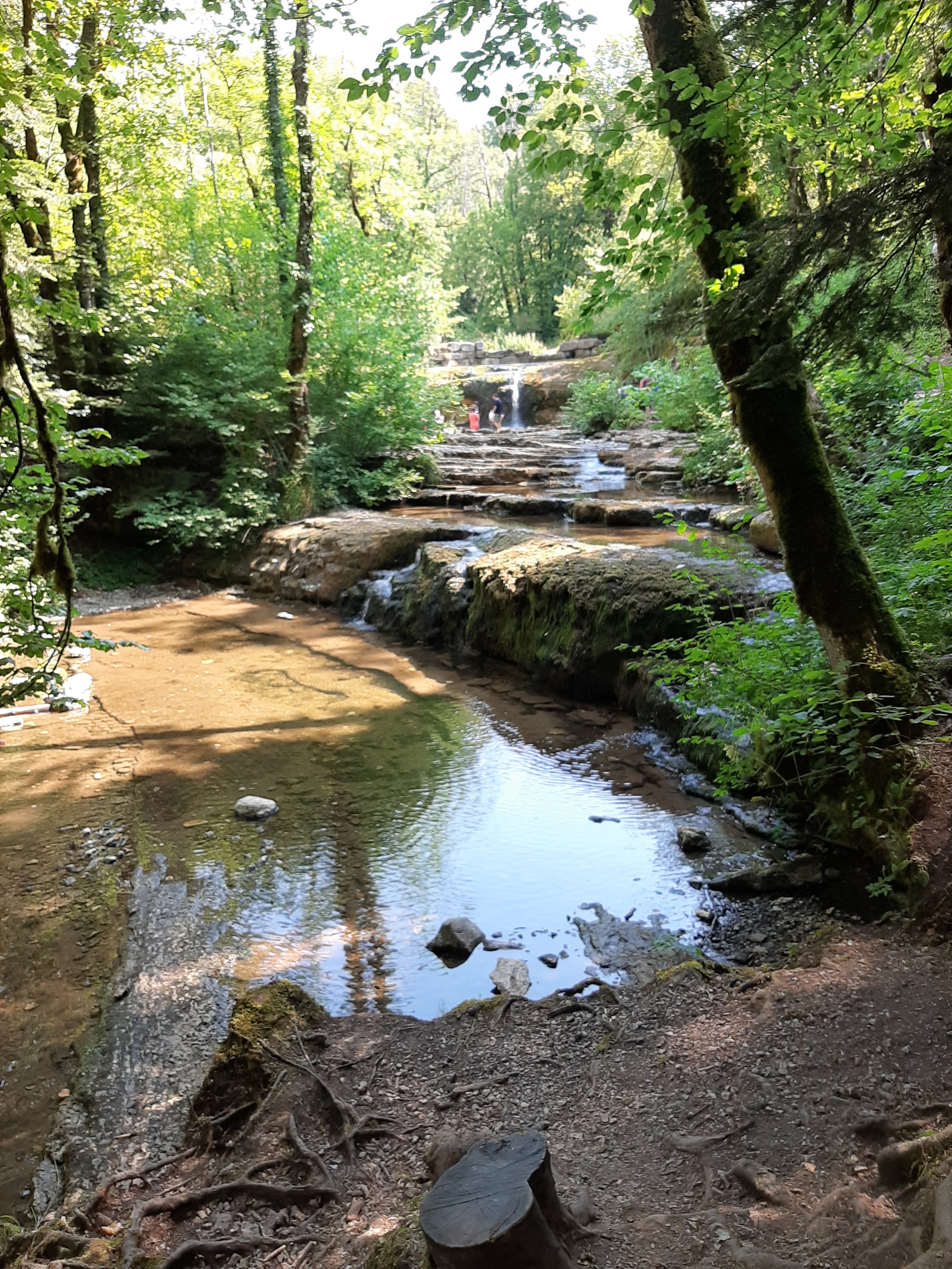 Photo n° 2 de l'avis de Ulderica.e fait le 29/07/2020 à 06:50