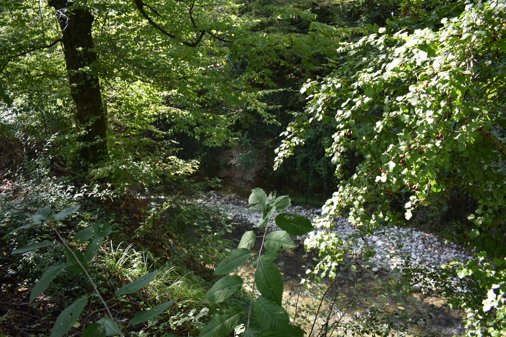 Photo n° 4 de l'avis de christiane.a fait le 09/10/2021 à 15:47