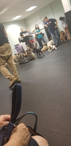 Pet Supply Store «Dogology», reviews and photos, 166 Albany Turnpike, Canton, CT 06019, USA