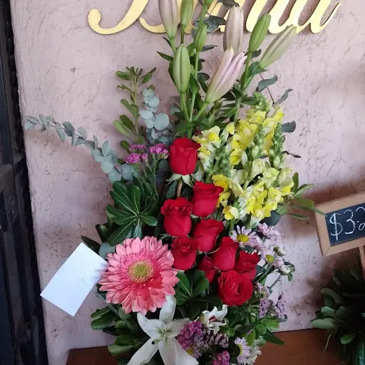 Florería la orquídea azul azul