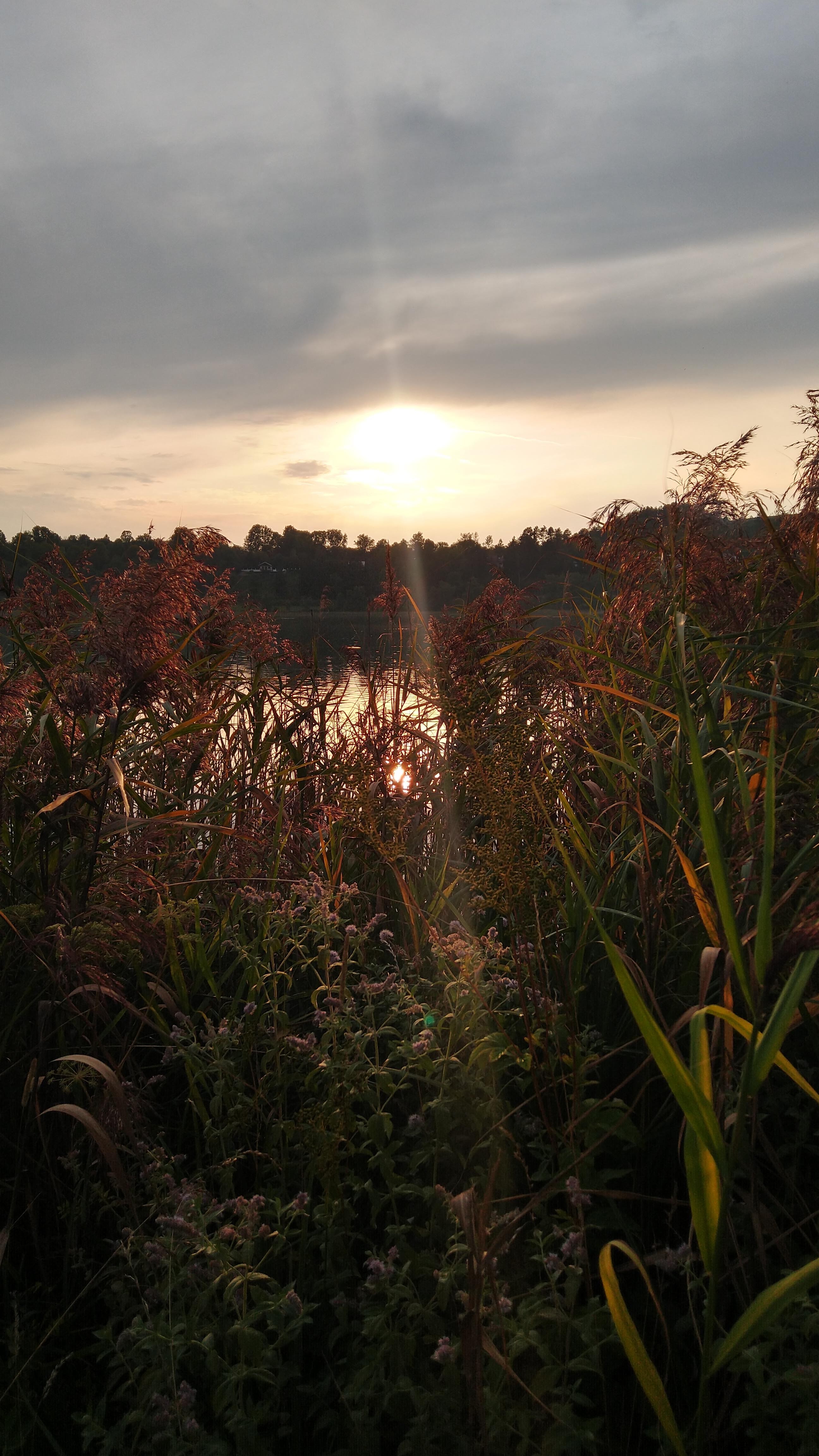 Photo n° 2 de l'avis de Kai.a fait le 27/08/2019 à 17:55