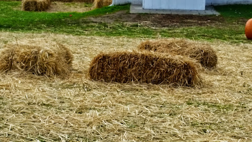 Orchard «Riamede Farm», reviews and photos, 122 Oakdale Rd, Chester, NJ 07930, USA