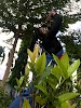 user