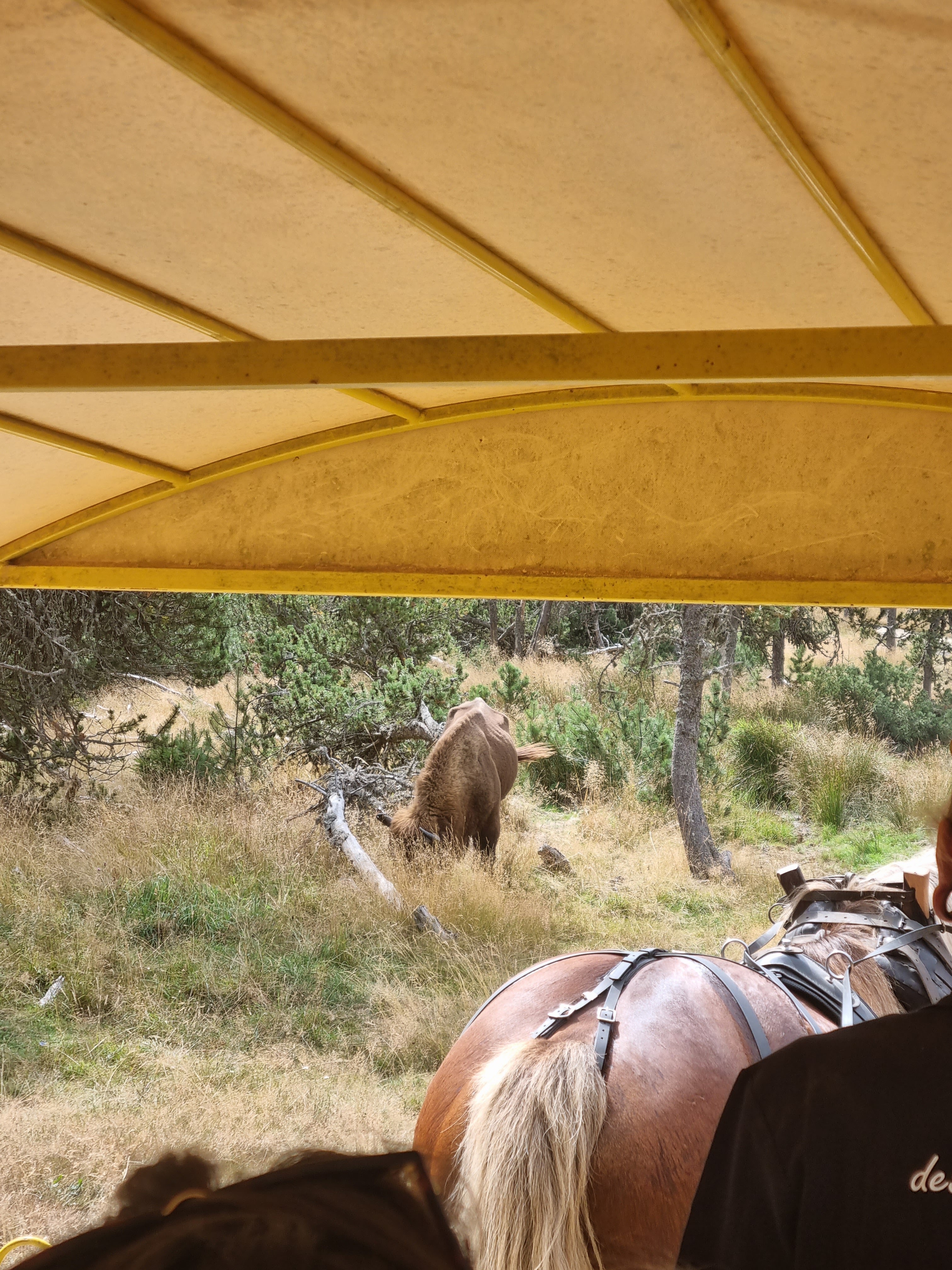 Photo n° 1 de l'avis de Lucie.e fait le 31/08/2023 à 10:23