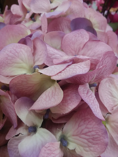 Craft Store «Michaels», reviews and photos, 1765 Montgomery Hwy, Hoover, AL 35244, USA