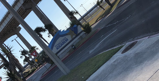 Gift Shop «North Beach Gift Shop», reviews and photos, 2901 Surfside Blvd, Corpus Christi, TX 78402, USA