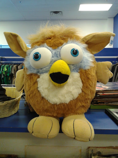 Thrift Store «Goodwill Industries Store & Donation Center», reviews and photos, 30 Broadway, Elmwood Park, NJ 07407, USA