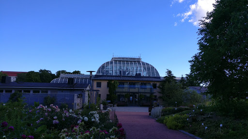 Kaisaniemi botanic garden