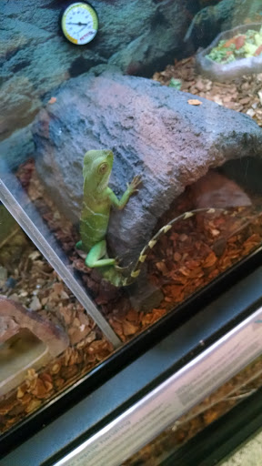 Pet Supply Store «Petco Animal Supplies», reviews and photos, 2000 NE Burnside Rd, Gresham, OR 97030, USA