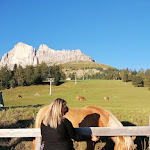Photo n°5 de l'avis de Elisa.e fait le 08/09/2020 à 18:49 sur le  Restaurant Pizzeria Christomannos à Welschnofen