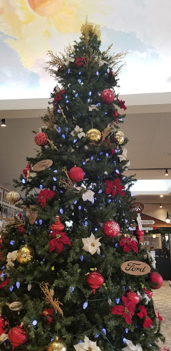 Car Dealer «Columbia Ford KIA», reviews and photos, 234 Willimantic Rd, Columbia, CT 06237, USA