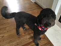 A PAWSitively PURRfect Place, LLC - Photo 7 - Car repair in Lithia Springs, GA, South Fulton