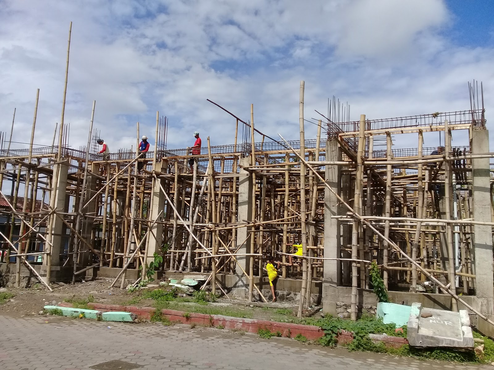 Lele Python Budidaya