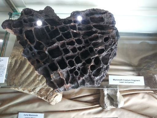 Museum «Phosphate Museum», reviews and photos, 101 SE 1st St, Mulberry, FL 33860, USA