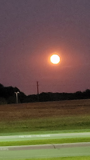 Park «Harold Bacchus Community Park», reviews and photos, 13995 Main St, Frisco, TX 75034, USA