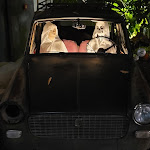 Photo n°2 de l'avis de Manuel.a fait le 30/11/2021 à 08:17 sur le  Mem à Pavia di Udine