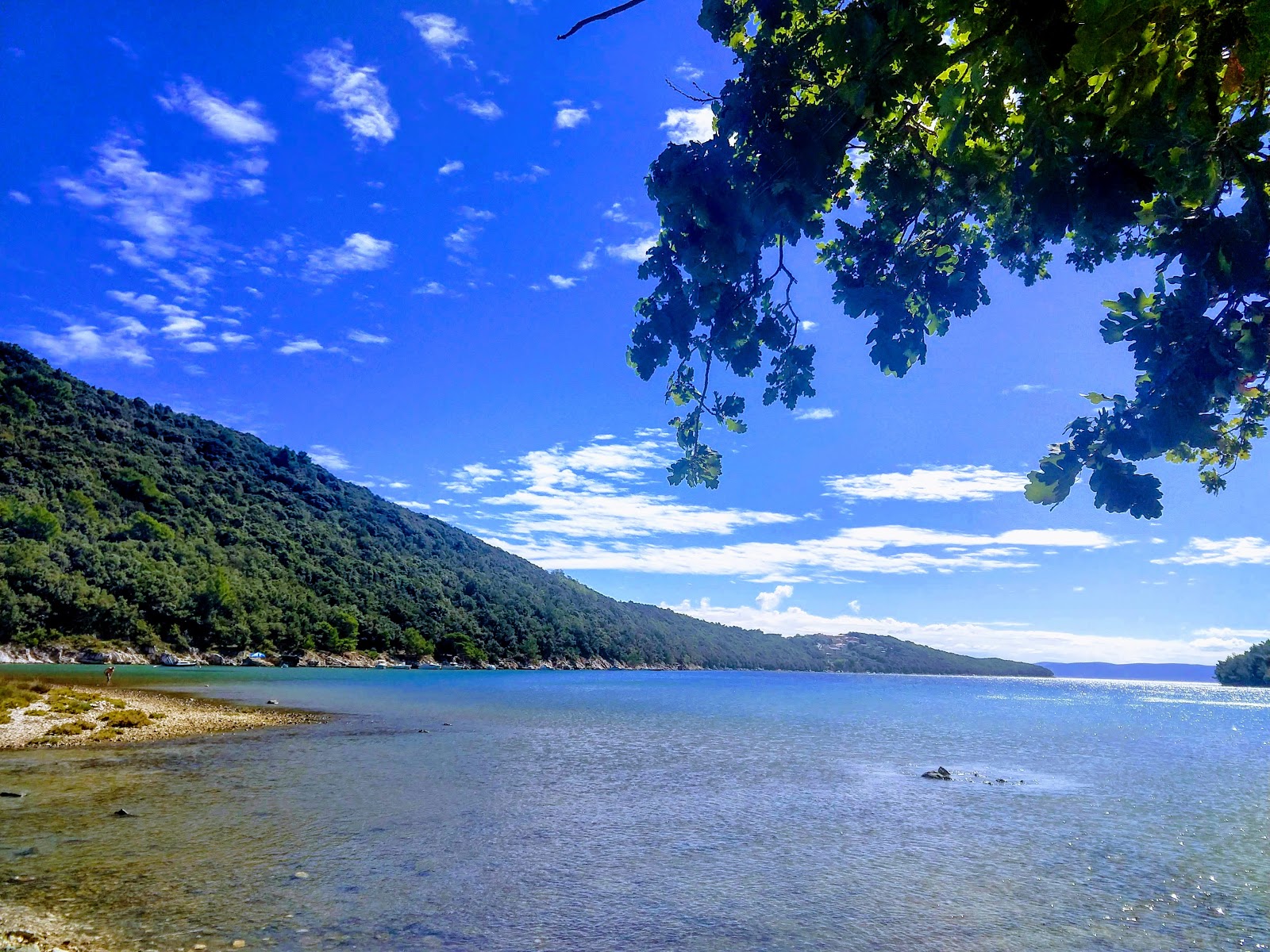 Photo de Prtlog beach situé dans une zone naturelle