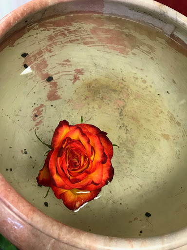 Florist «Lotus Designs», reviews and photos, 977 Tremont St, Boston, MA 02120, USA