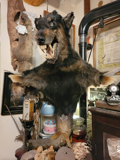 Tourist Attraction «Trundle Manor», reviews and photos, 7724 Juniata St, Pittsburgh, PA 15218, USA