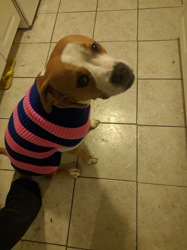 Pet Supply Store «Wags To Wiskers Pet Supplies», reviews and photos, 2423 W Stadium Blvd, Ann Arbor, MI 48103, USA