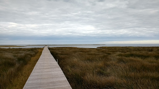 Discount Store «Dollar General», reviews and photos, 26038 NC-12, Waves, NC 27982, USA