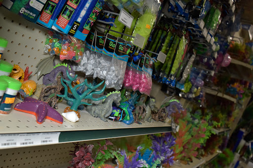 Pet Store «Pet World - Auburndale», reviews and photos, 3637 Havendale Blvd, Auburndale, FL 33823, USA