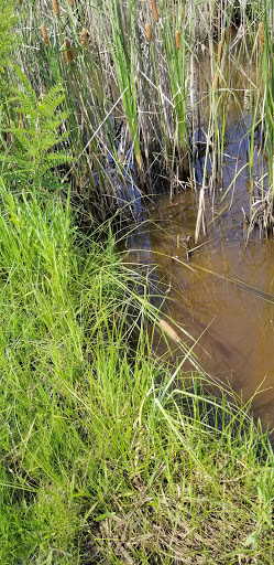 Nature Preserve «Audubon Center at Riverlands», reviews and photos, 301 Riverlands Way, West Alton, MO 63386, USA