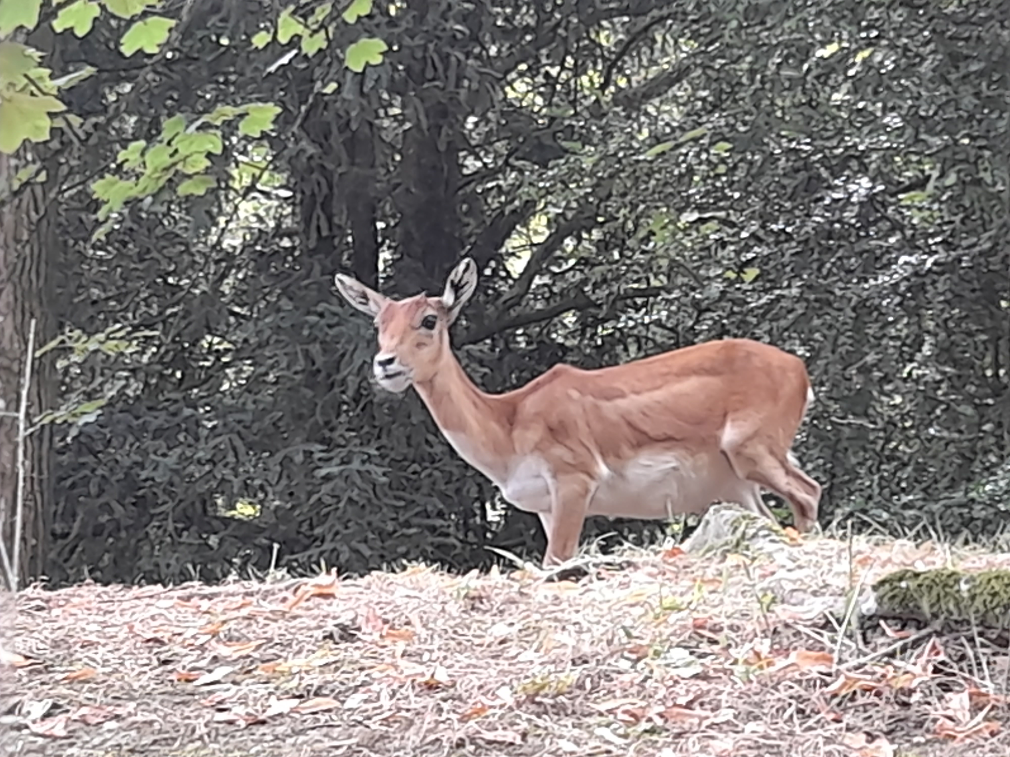 Photo n° 11 de l'avis de pauline.o fait le 15/08/2022 à 18:00