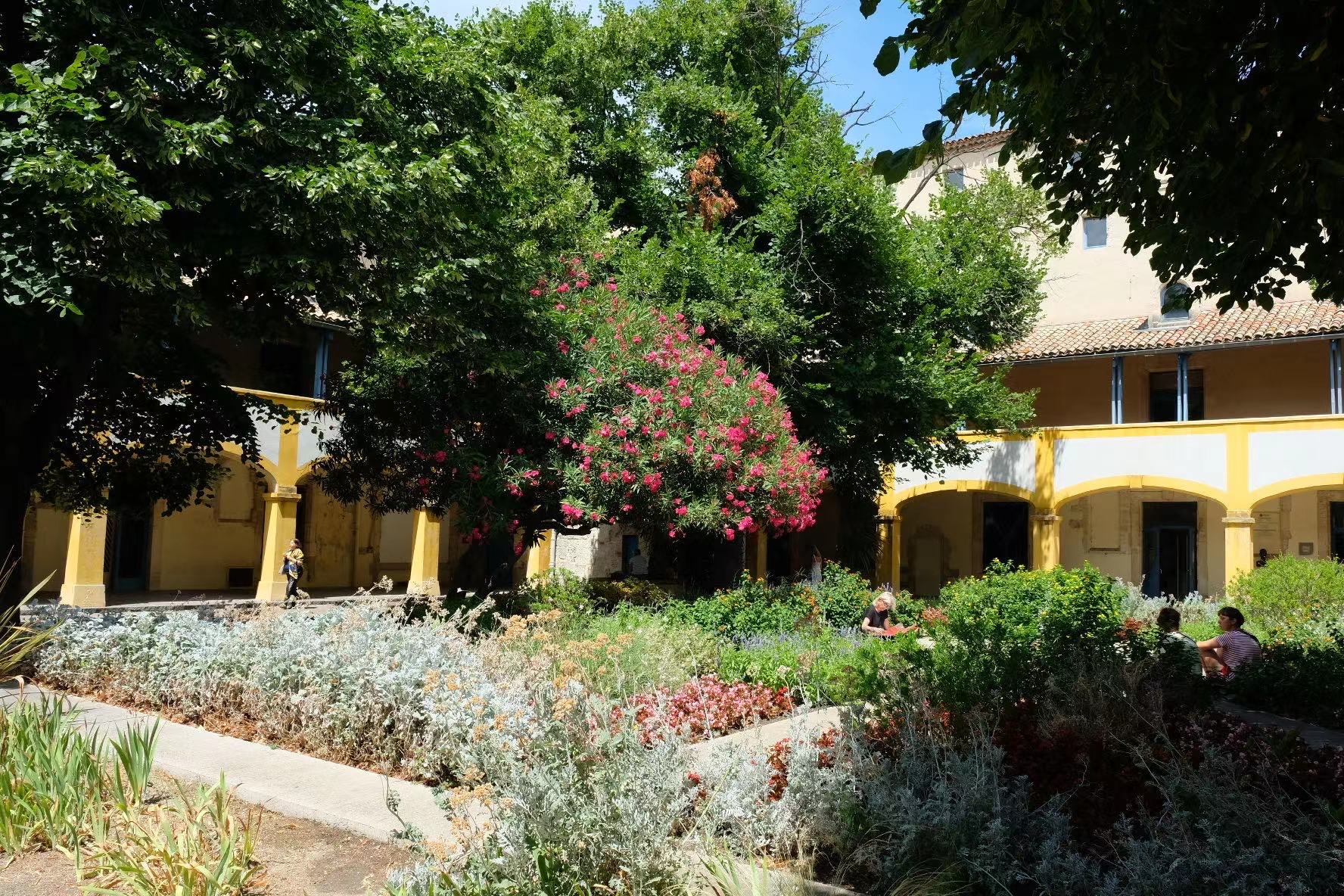 Photo n° 3 de l'avis de ZHIBAI.U fait le 30/07/2022 à 18:26