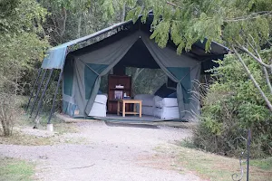 Asilia Ol Pejeta Bush Camp image